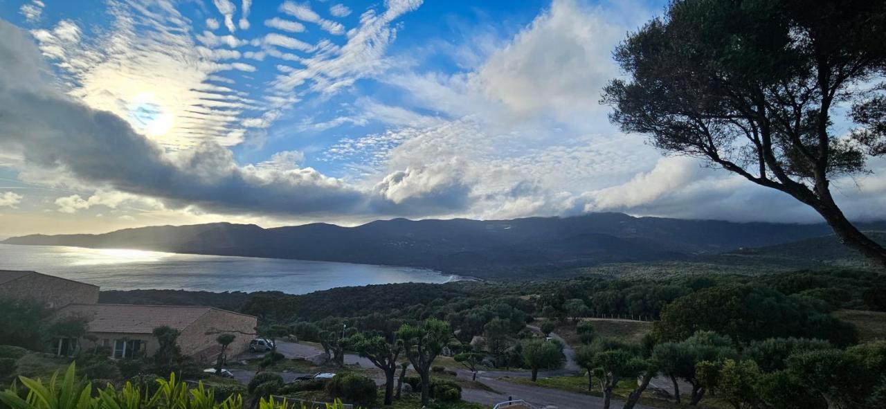 Chalereux T2 Vue Mer Et Piscine Alba Rossa Serra-di-Ferro  Exterior foto